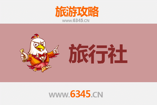 拉萨本地旅行社推荐：精选靠谱旅行社及高原旅行全攻略